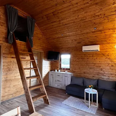 Debowy Mazury Szczybaly Gizyckie